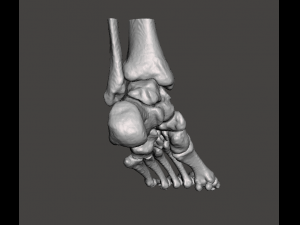 left foot - male 3D Модель