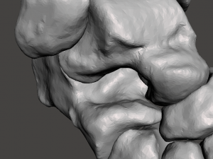 right foot - male 3D Модель