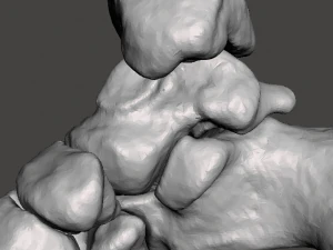 right foot - male 3D Model