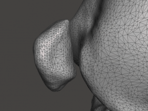 right knee joint - female 3D Model
