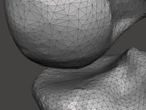 right knee joint - female 3D Model