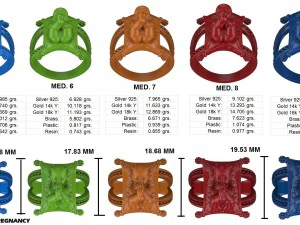 ring pregnancy 3D Print Model