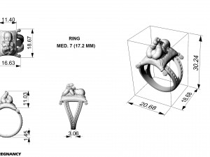 ring pregnancy Modelo de impresión 3D