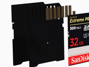sd card sandisk 32 gb Model 3D