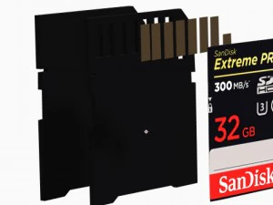 scheda sd sandisk 32 gb Modello 3D