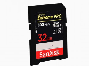 sd card sandisk 32 gb 3D Model