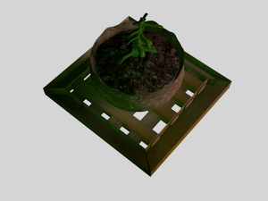 potted plant and base Modello 3D