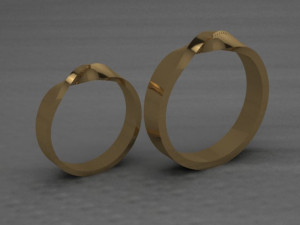 engagement twist rings 3D Print Model
