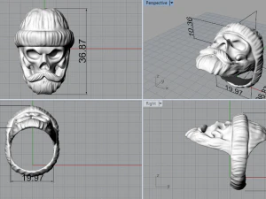 skull ring 3D Print Model
