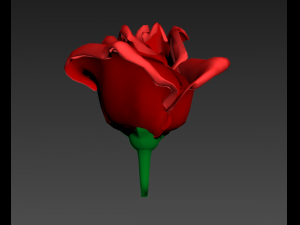 red rose Model 3D