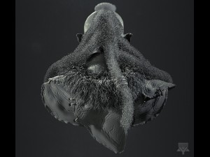 orc bust highpoly 3D Model