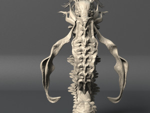 sea creature - highpoly 3D Модель