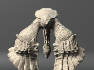 sea creature - highpoly 3Dモデル