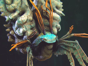 criatura marinha - highpoly Modelo 3D