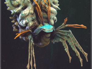 volume 1 sea creatures - highpoly Model 3D