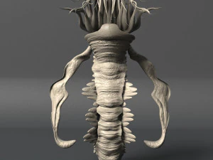 volume 1 sea creatures - highpoly 3D Model