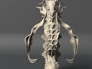 volume 1 sea creatures - highpoly 3D Model