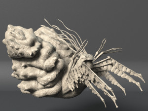 volume 1 sea creatures - highpoly Model 3D