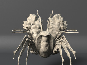 volume 1 sea creatures - highpoly Model 3D