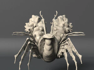 volume 1 sea creatures - highpoly 3D Model