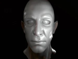 男性半精灵半身像高聚3D模型 3D 模型