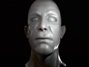 male half-elf bust high poly 3d model Modèle 3D