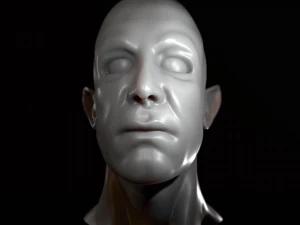 male half-elf bust high poly 3d model 3D Model