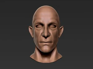 male half-elf bust high poly 3d model 3D Model