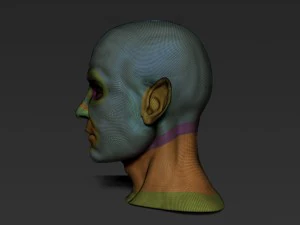 male half-elf bust high poly 3d model 3D Model
