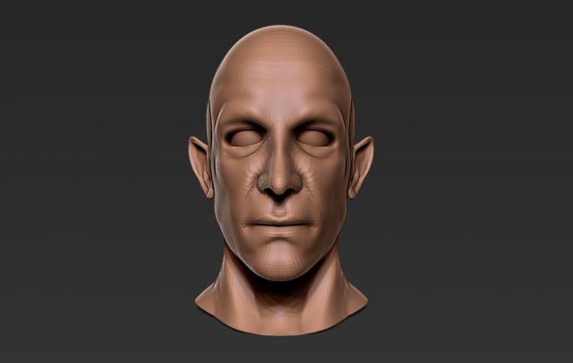 male half-elf bust low poly 3d model 3D 模型 .c4d .max .obj .3ds .fbx .stl .blend 