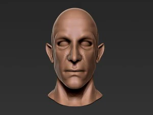 model 3d poli rendah payudara setengah elf pria Model 3D