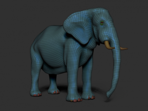 elephant for modeling and animation Model 3D
