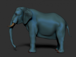 elephant for modeling and animation Model 3D