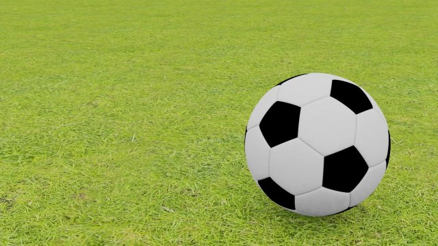 simple poly football 3D Model .c4d .max .obj .3ds .fbx .stl .blend 