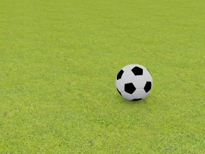 simple poly football 3D Model