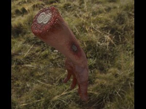 vr hands 32 variations animated-optimized 3D Model