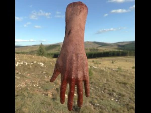 vr hands 32 variations animated-optimized 3D Model