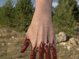 vr hands 32 variations animated-optimized 3D Model