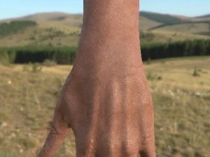 vr hands 32 variations animated-optimized 3D Model