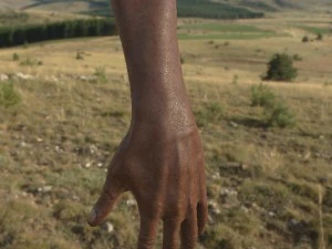 vr hands 32 variations animated-optimized 3D Model
