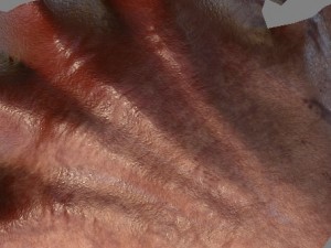 vr hands 32 variations animated-optimized 3D-Modell