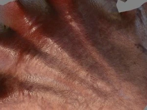 vr hands 32 variations animated-optimized 3D Model
