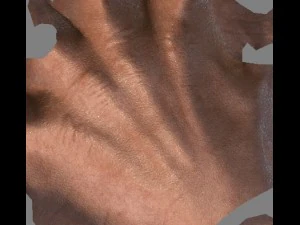 vr hands 32 variations animated-optimized 3D Model