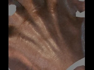 vr hands 32 variations animated-optimized 3D Model