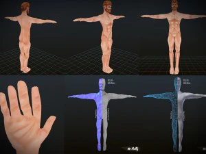 human 3d project animated-handpaintedmale 3D Model