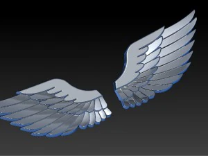 wings 3D Print Model
