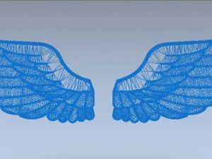 wings 3D Print Model