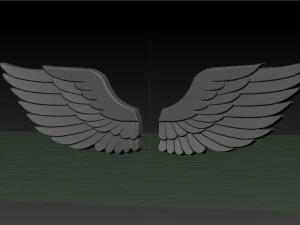 wings 3D Print Model