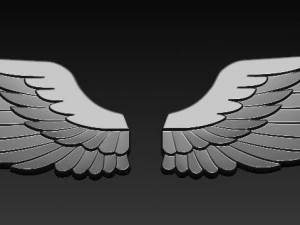 wings 3D Print Model