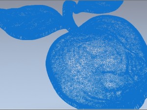 an apple 3D Model